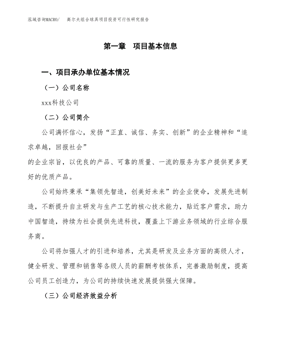 高尔夫组合球具项目投资可行性研究报告（项目申请）_第3页