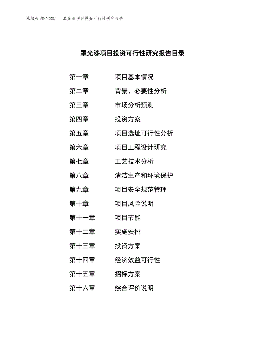 罩光漆项目投资可行性研究报告（项目申请）_第2页