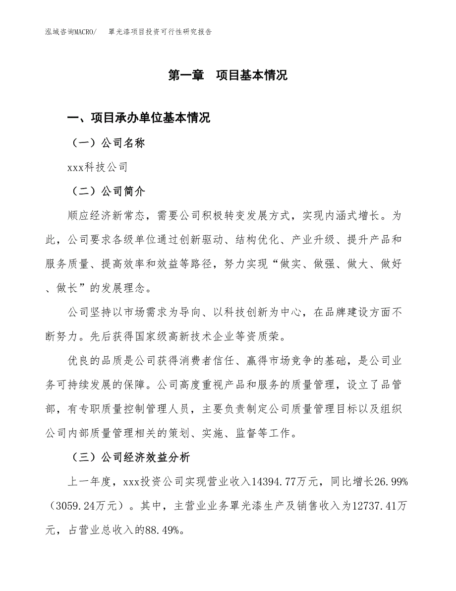 罩光漆项目投资可行性研究报告（项目申请）_第3页