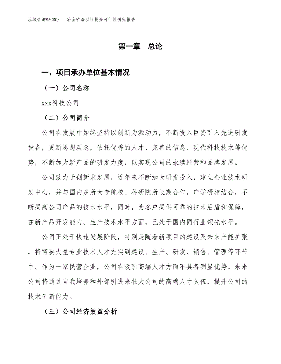 冶金矿渣项目投资可行性研究报告（项目申请）_第3页