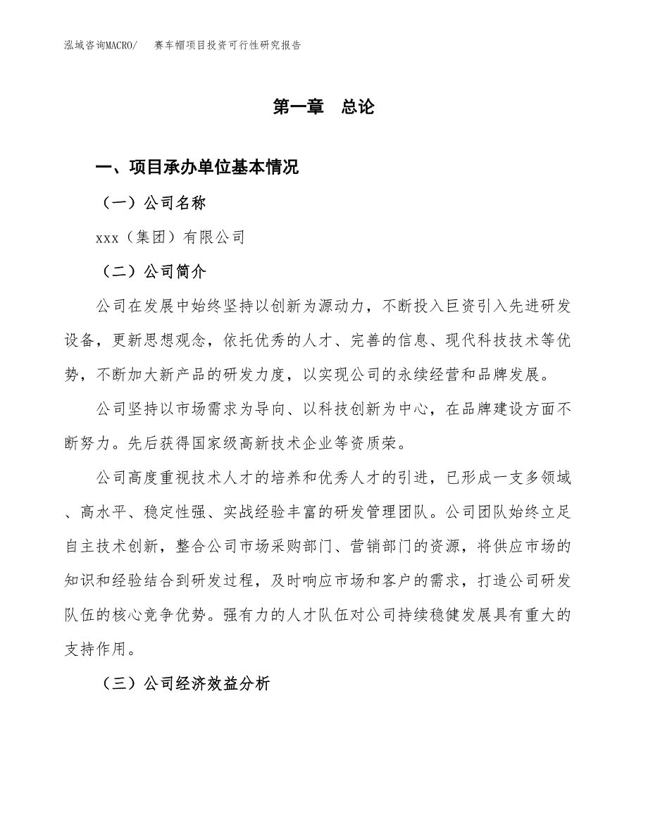 赛车帽项目投资可行性研究报告（项目申请）_第3页