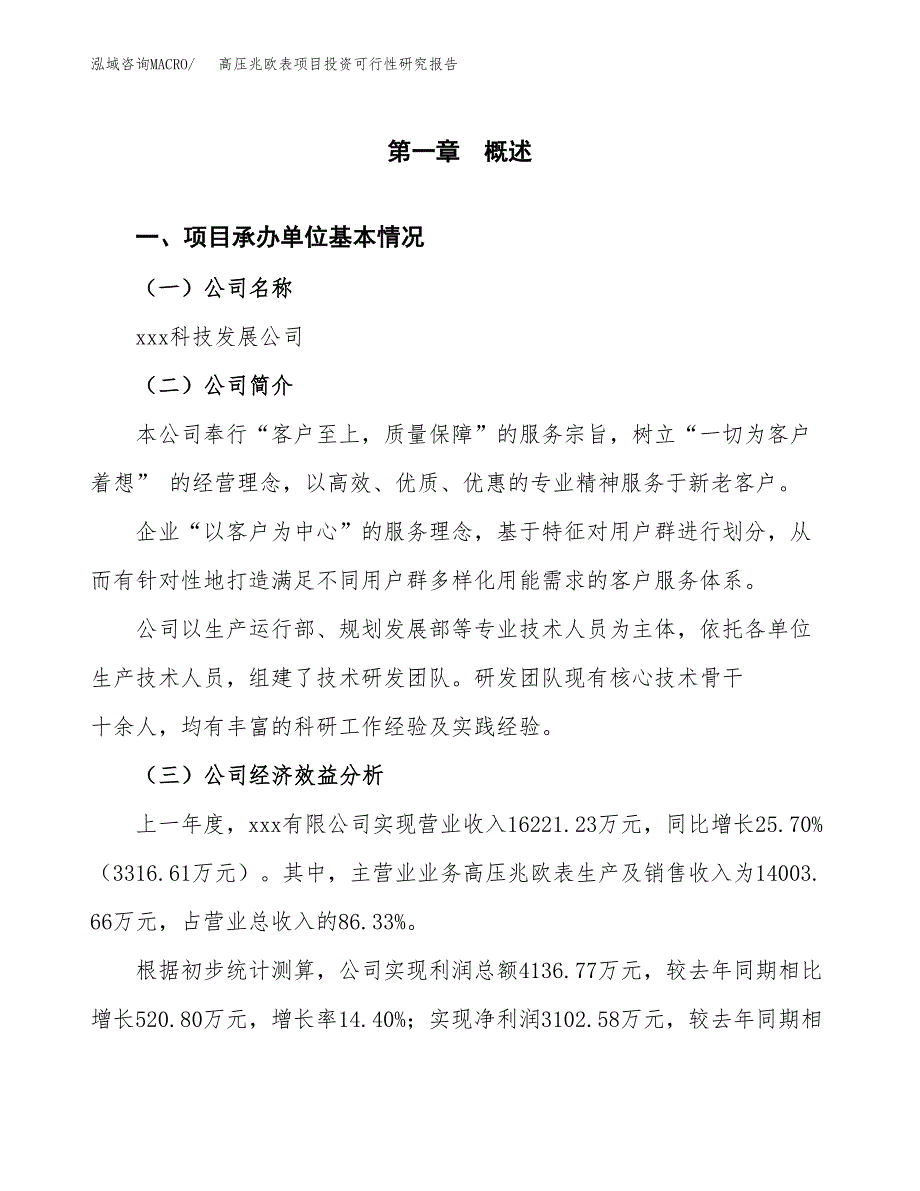 高压兆欧表项目投资可行性研究报告（项目申请）_第3页