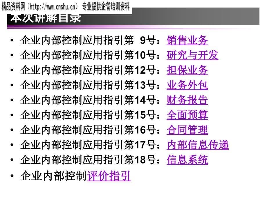 企业内部控制指引培训_第5页