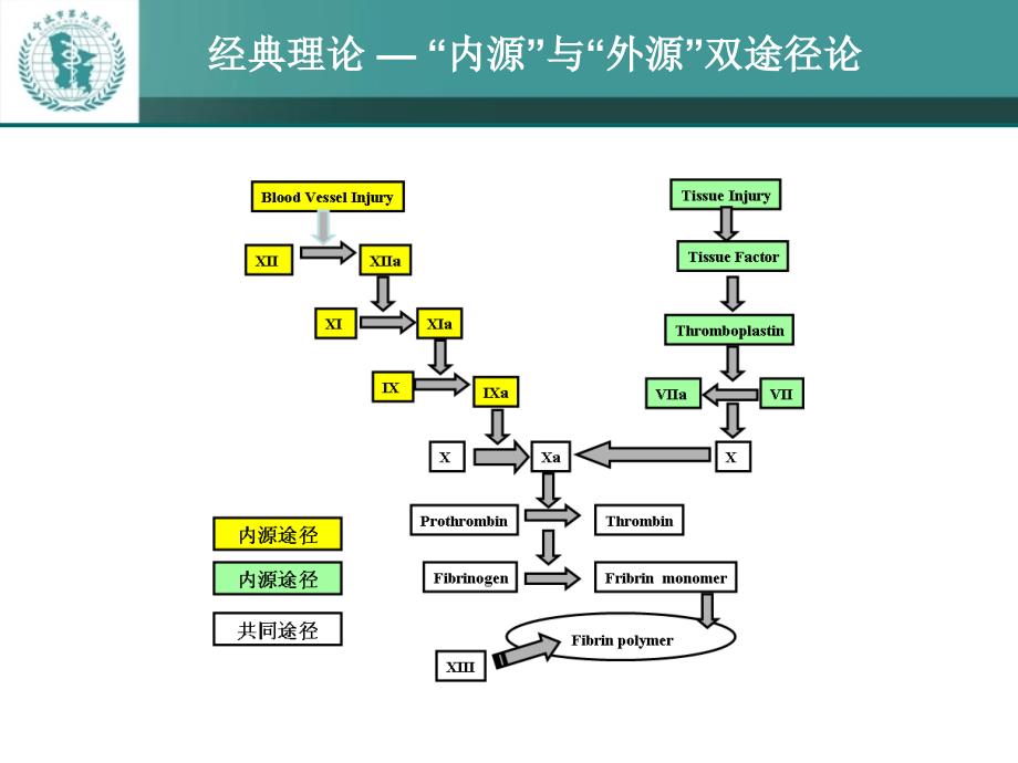 获得性凝血病课件_第4页