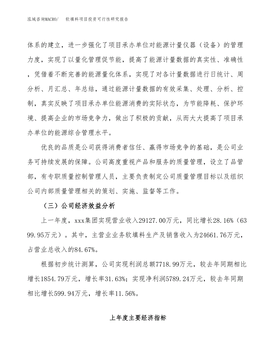 软填料项目投资可行性研究报告（项目申请）_第4页