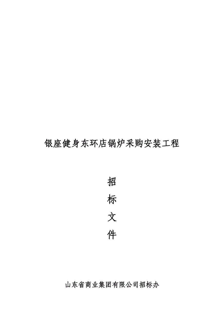 某店锅炉采购安装工程招标文件_第1页