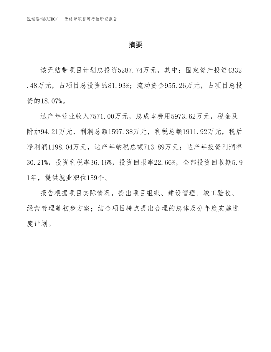 无结带项目可行性研究报告范文（总投资5000万元）.docx_第2页