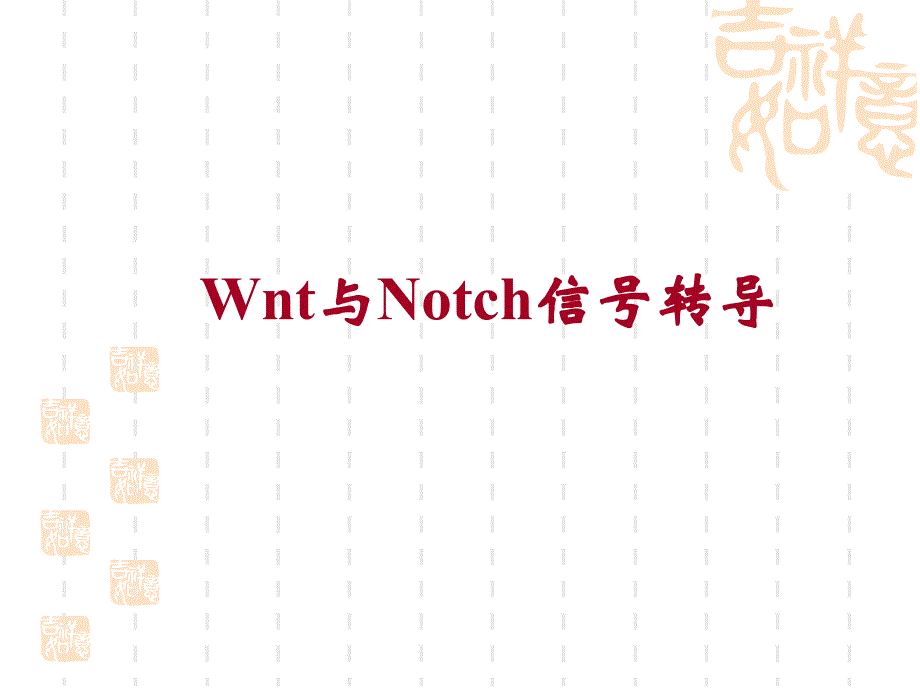 10.wnt与notch信号传导(正式)_第1页