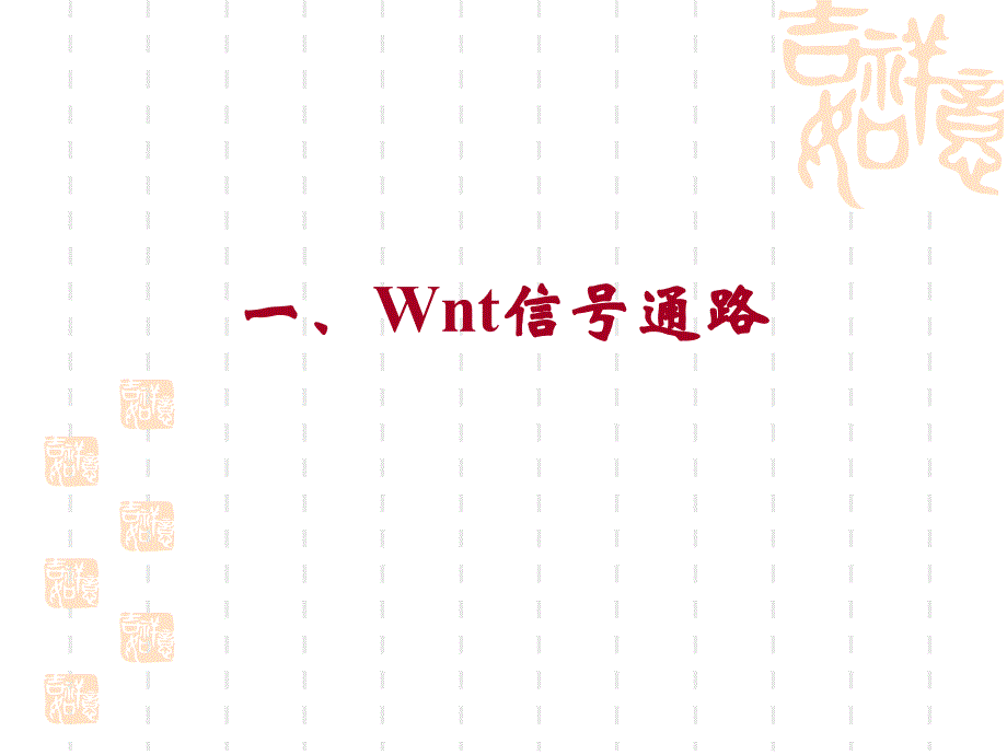 10.wnt与notch信号传导(正式)_第2页