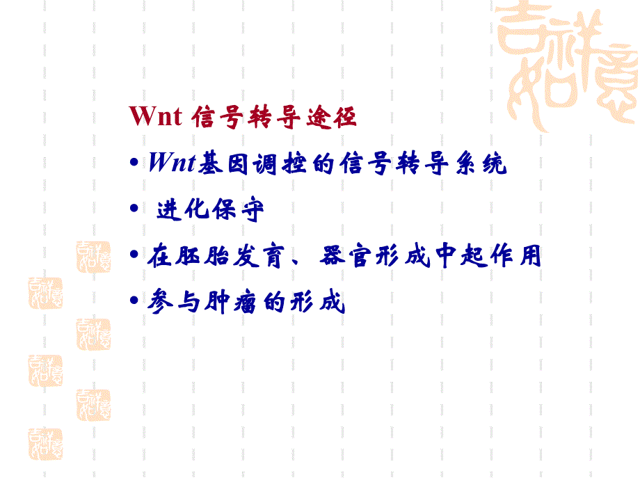 10.wnt与notch信号传导(正式)_第4页