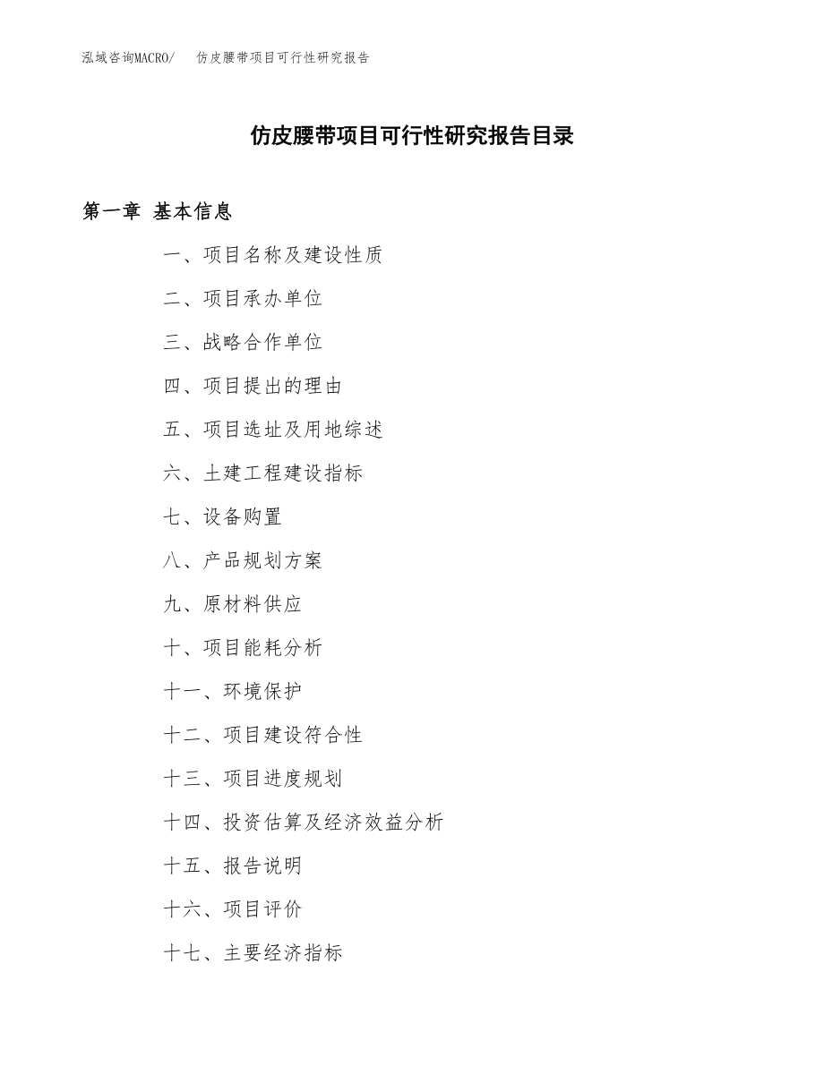 仿皮腰带项目可行性研究报告范文（总投资11000万元）.docx_第3页