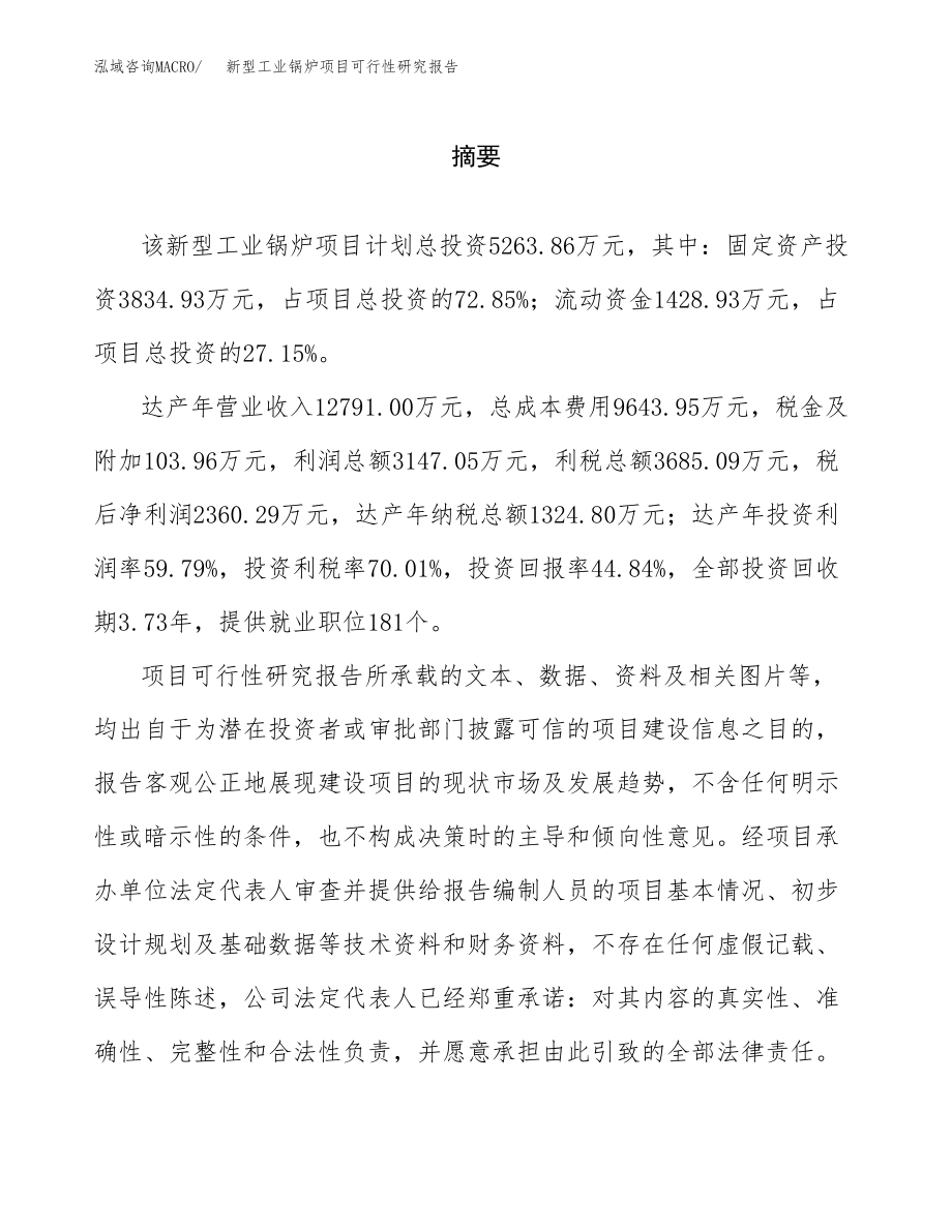 新型工业锅炉项目可行性研究报告范文（总投资5000万元）.docx_第2页