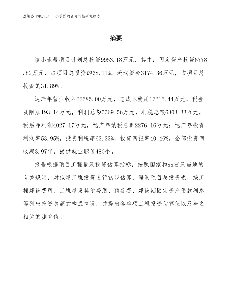 小乐器项目可行性研究报告范文（总投资10000万元）.docx_第2页