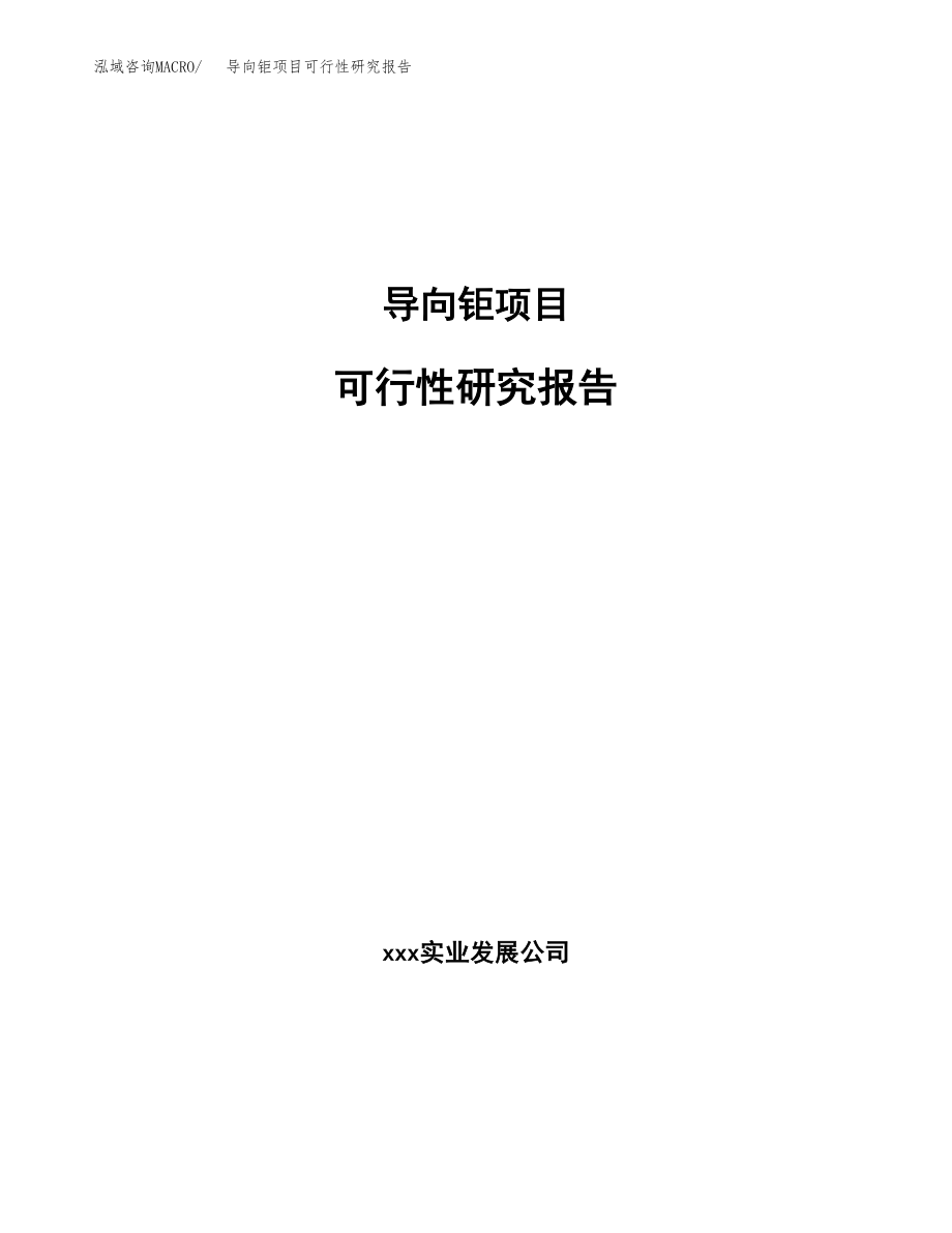 导向钜项目可行性研究报告范文（总投资10000万元）.docx_第1页