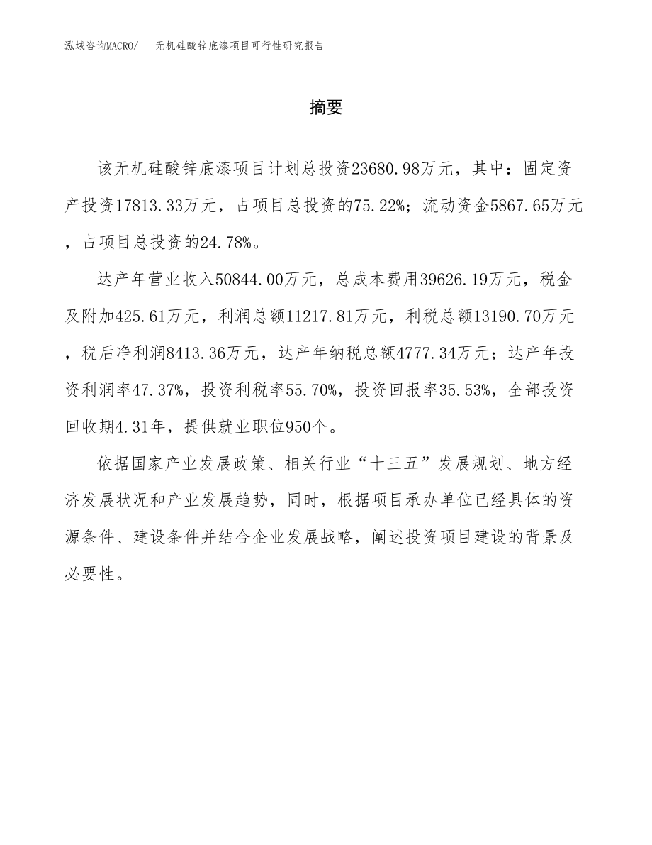 无机硅酸锌底漆项目可行性研究报告范文（总投资24000万元）.docx_第2页