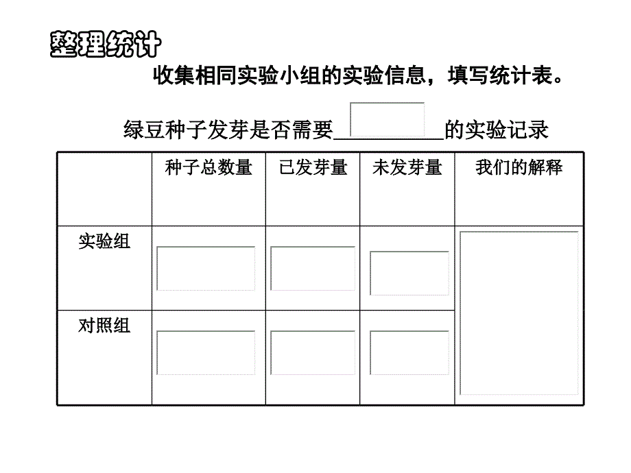 五年级上册科学课件-1.2种子发芽实验（二）教科版(共19张PPT)_第3页