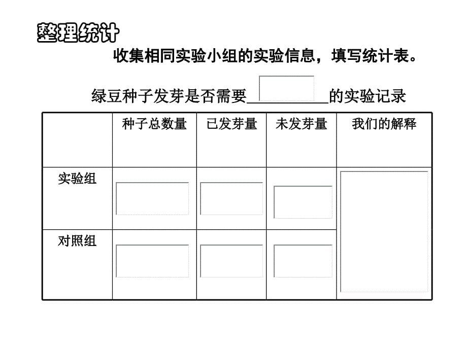 五年级上册科学课件-1.2种子发芽实验（二）教科版(共19张PPT)_第5页