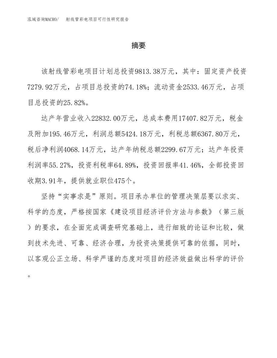 射线管彩电项目可行性研究报告范文（总投资10000万元）.docx_第2页