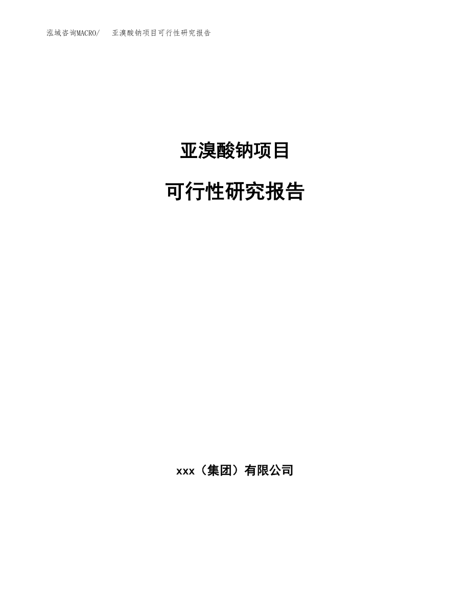 亚溴酸钠项目可行性研究报告范文（总投资21000万元）.docx_第1页