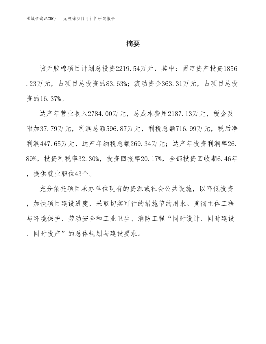 无胶棉项目可行性研究报告范文（总投资2000万元）.docx_第2页