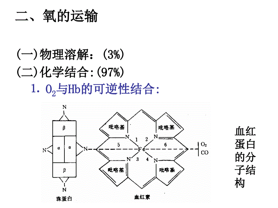 气体运输和呼吸调节_第4页