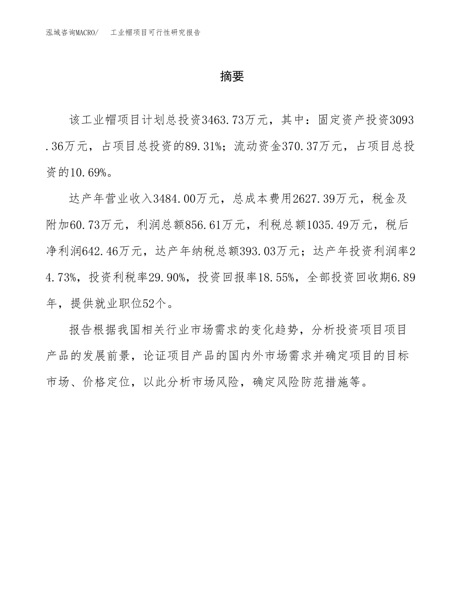 工业帽项目可行性研究报告范文（总投资3000万元）.docx_第2页