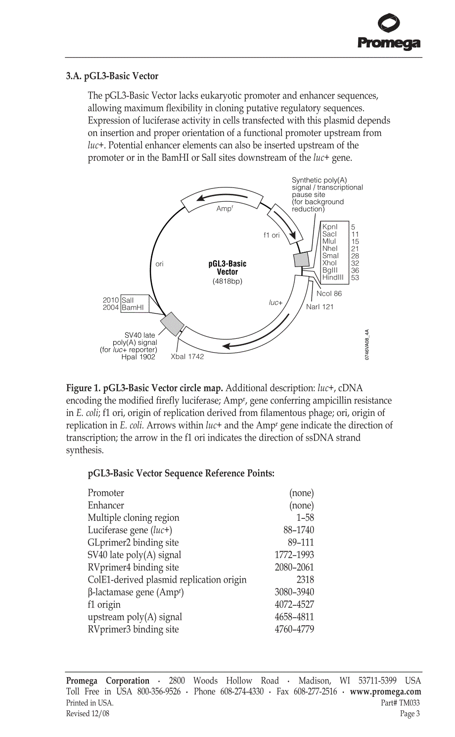 pgl3-basic_vector质粒图谱及其说明_第4页