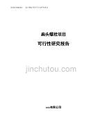 扁头螺栓项目可行性研究报告（总投资20000万元）