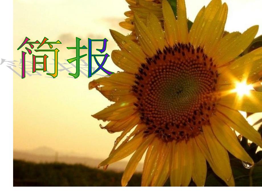 简报要求_第1页