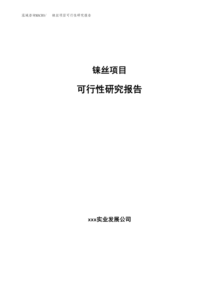 铼丝项目可行性研究报告（投资建厂申请）_第1页