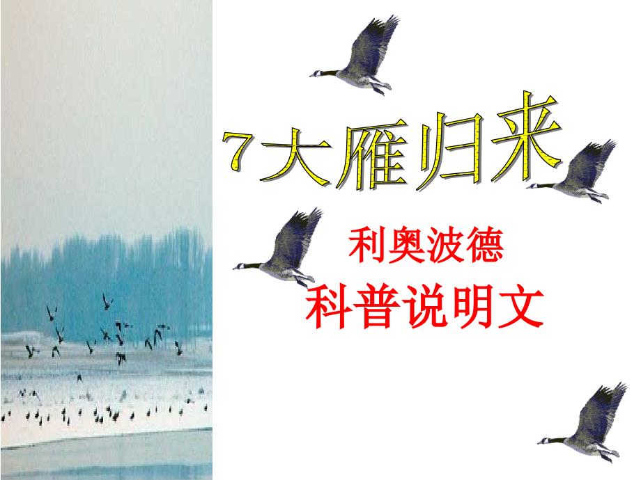 人教部编版八年级下册语文7、大雁归来课件（共48张ppt）_第1页