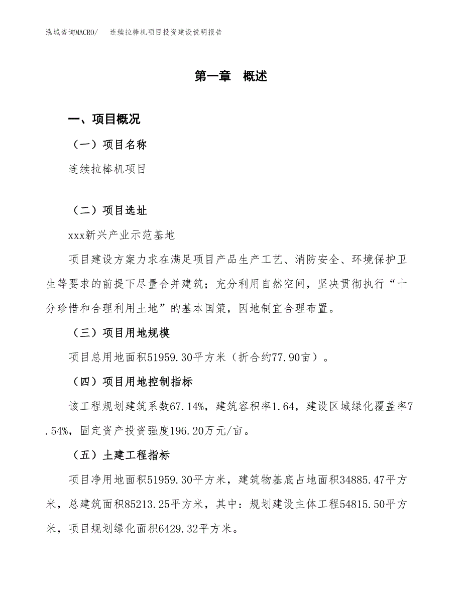 连续拉棒机项目投资建设说明报告.docx_第1页