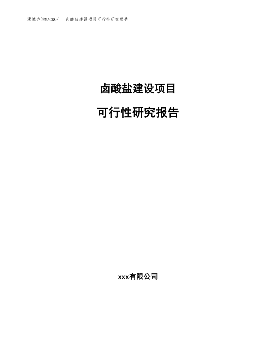 卤酸盐建设项目可行性研究报告模板               （总投资12000万元）_第1页