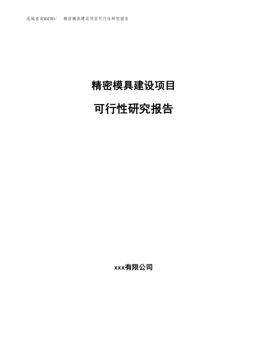 精密模具建设项目可行性研究报告模板               （总投资19000万元）_第1页