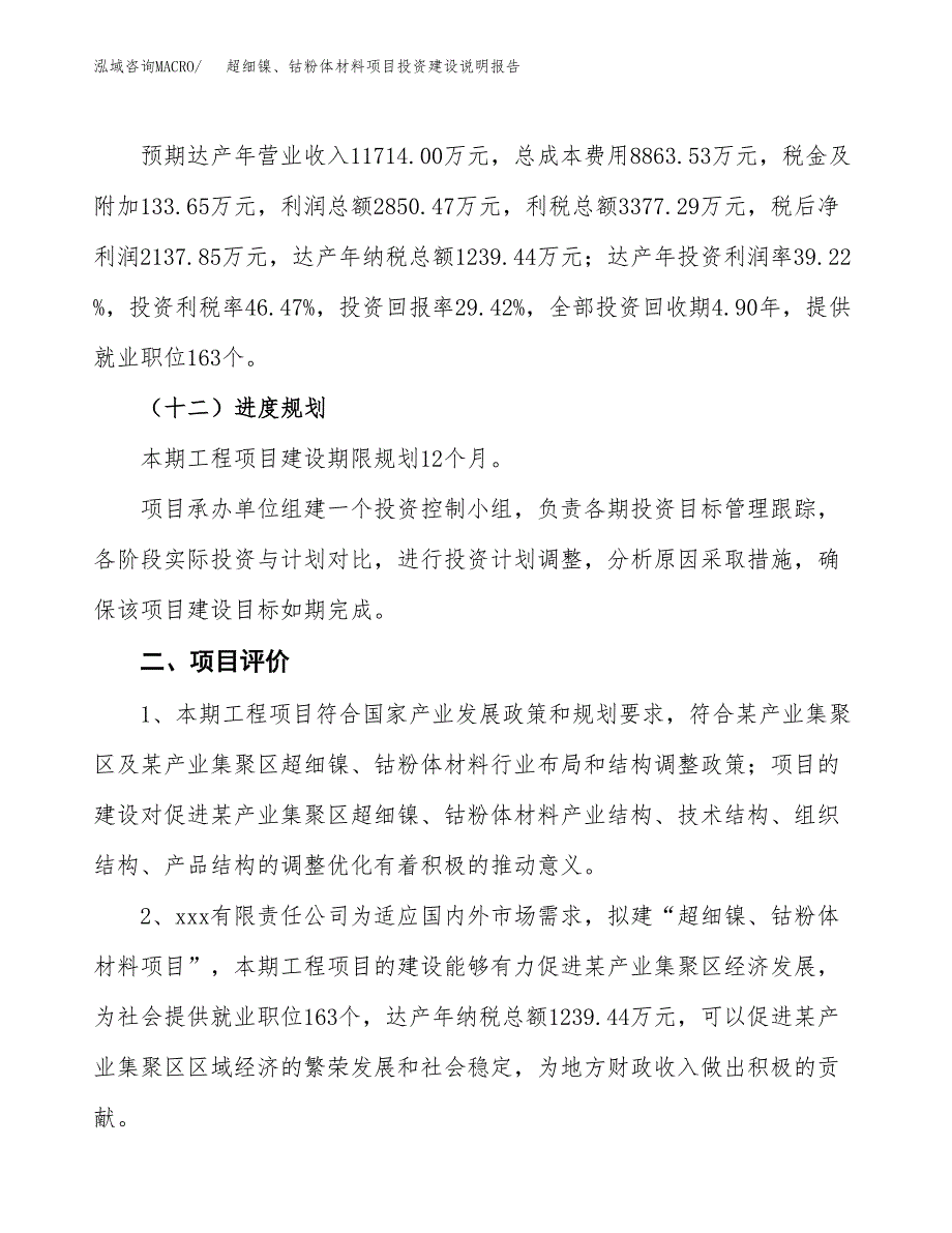 超细镍、钴粉体材料项目投资建设说明报告.docx_第3页