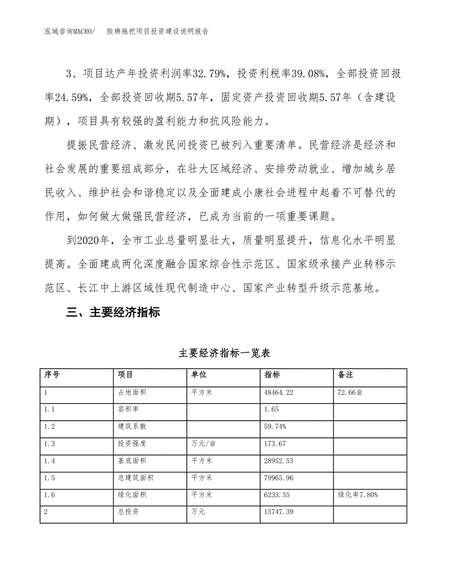 胶棉拖把项目投资建设说明报告.docx_第4页