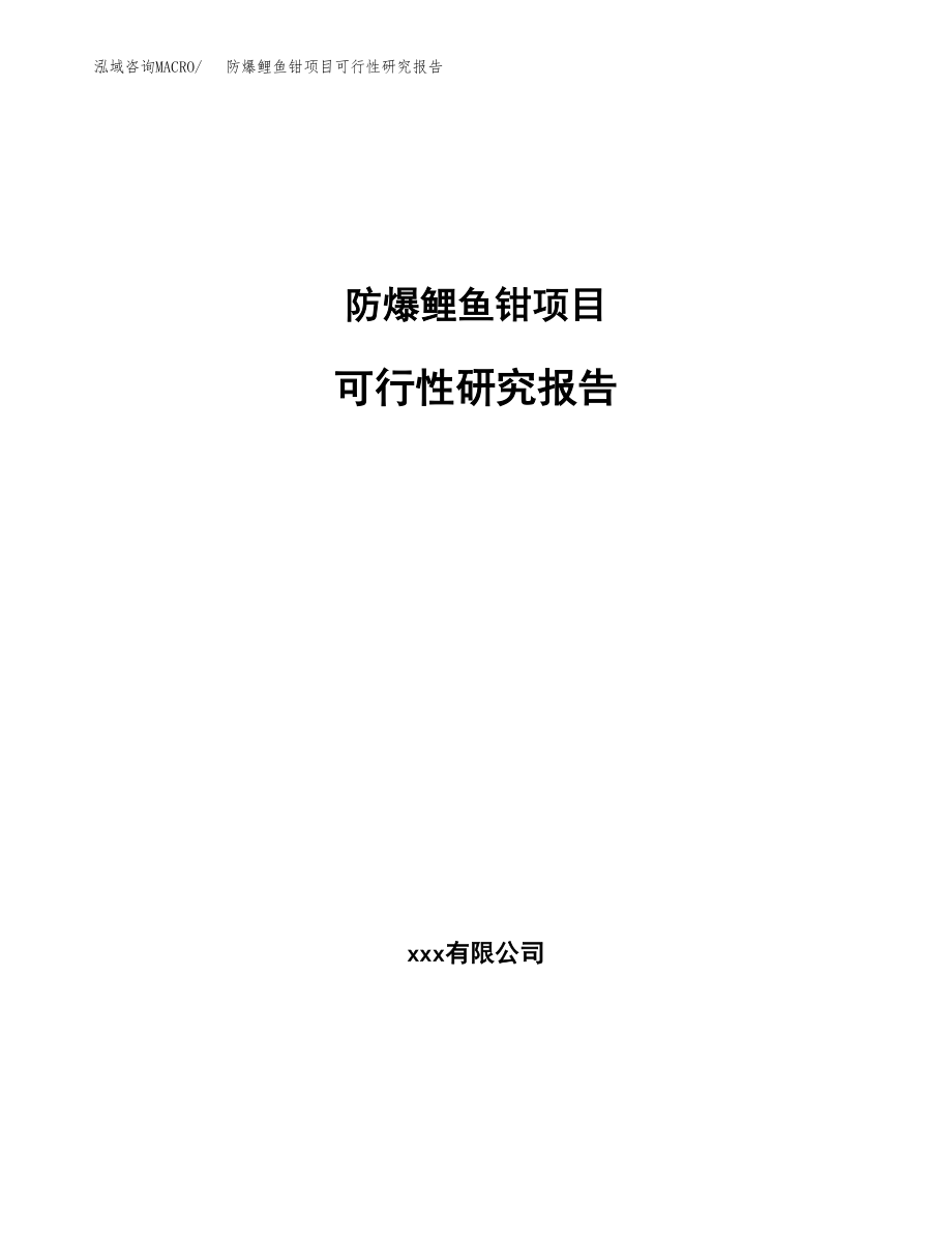 防爆鲤鱼钳项目可行性研究报告（投资建厂申请）_第1页