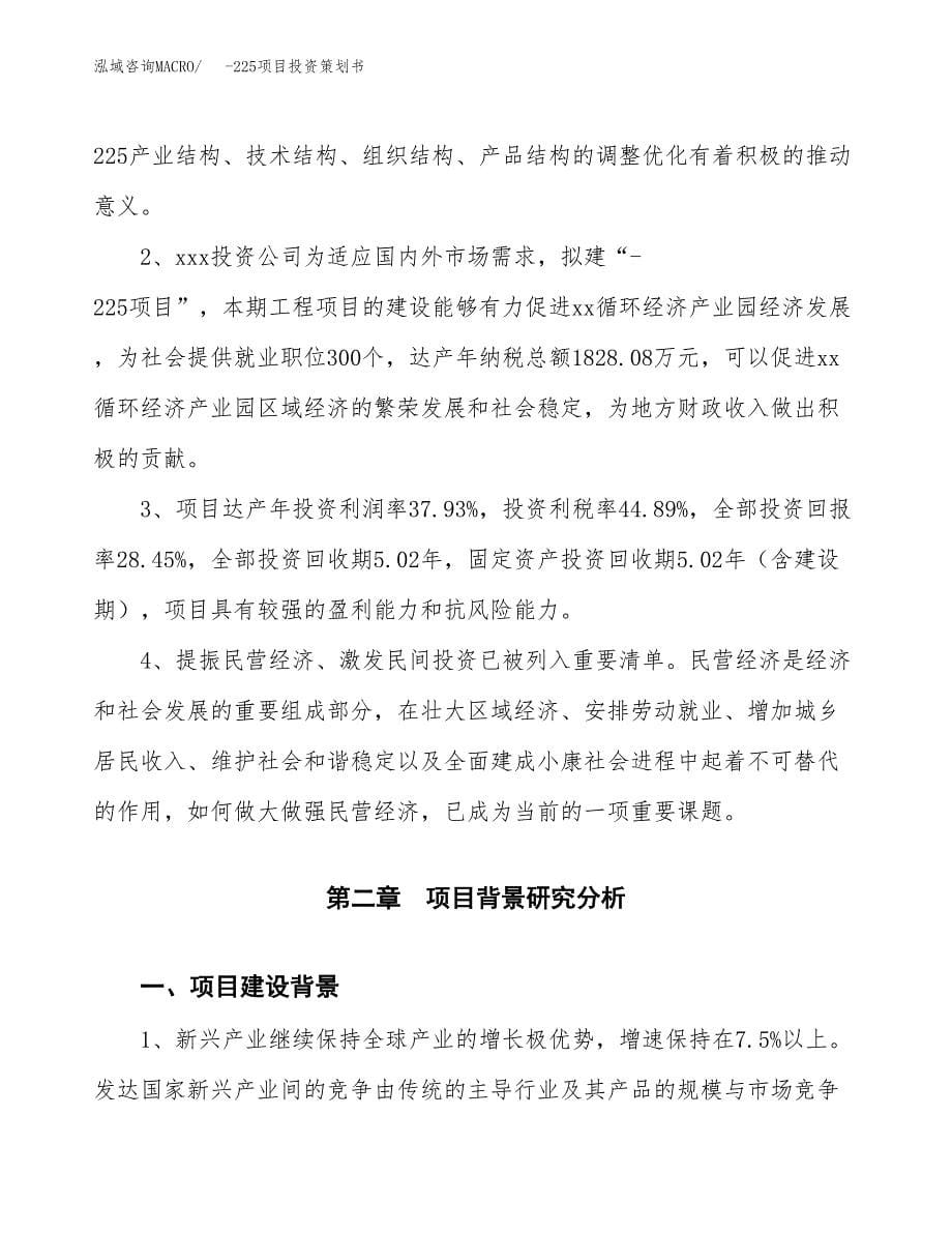 -225项目投资策划书.docx_第5页