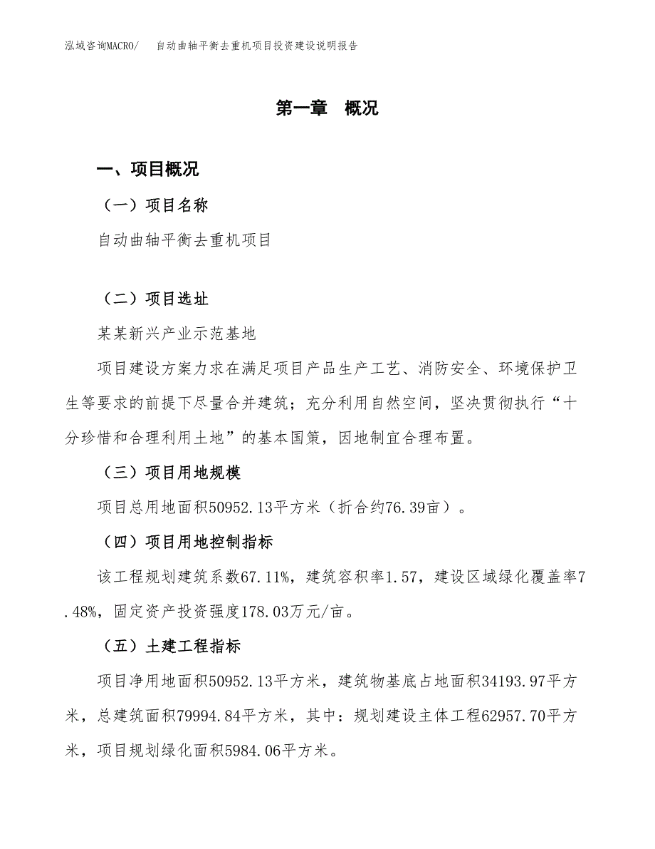 自动曲轴平衡去重机项目投资建设说明报告.docx_第1页