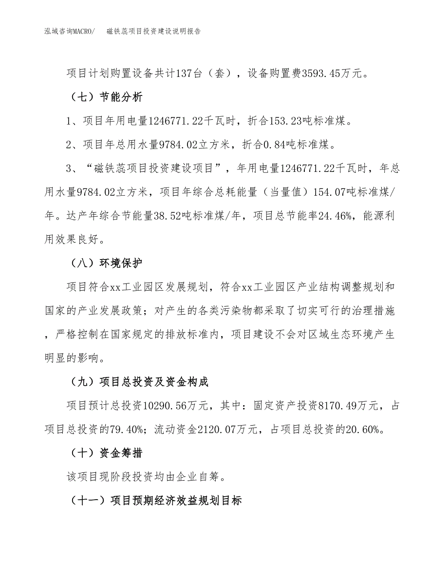 磁铁蕊项目投资建设说明报告.docx_第2页