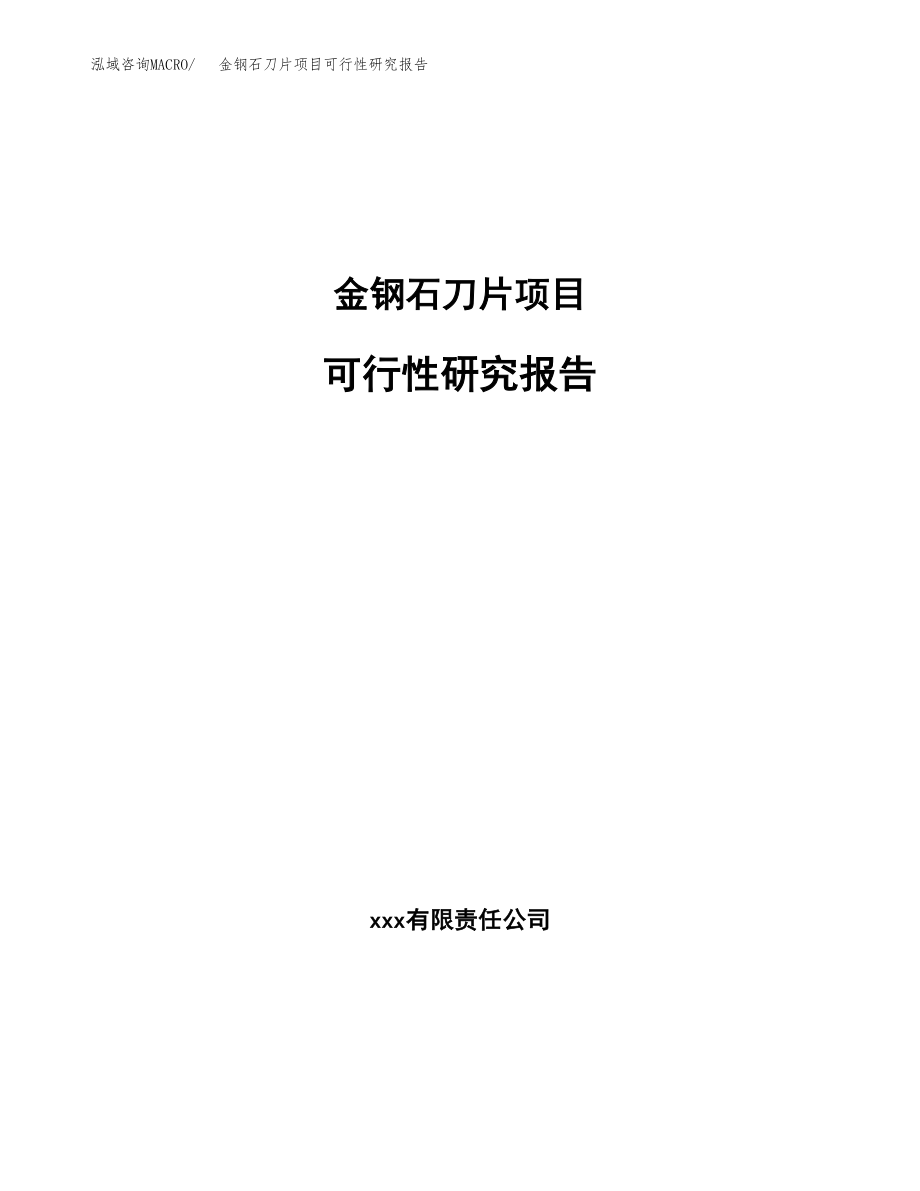 金钢石刀片项目可行性研究报告（投资建厂申请）_第1页