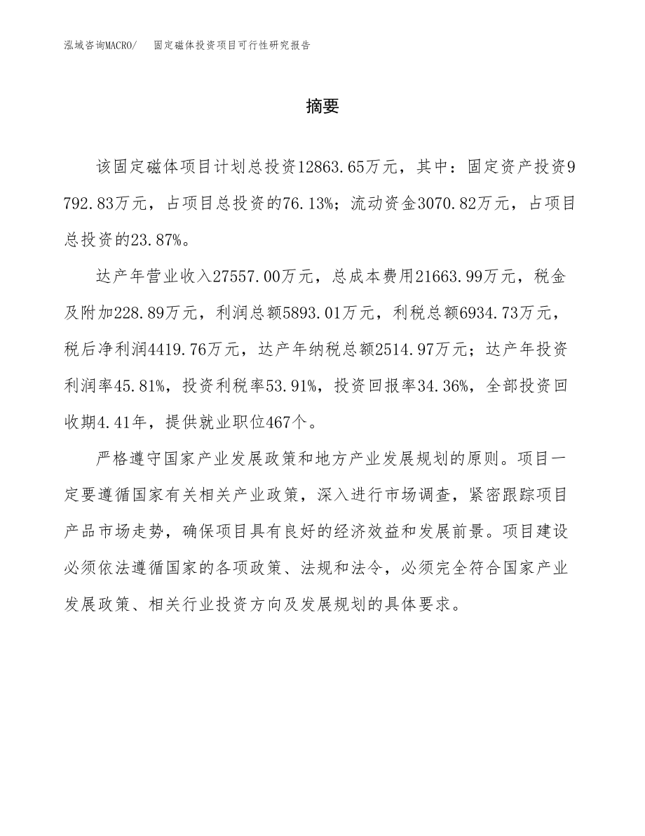 固定磁体投资项目可行性研究报告(参考模板分析).docx_第2页