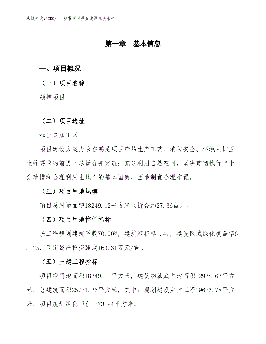 领带项目投资建设说明报告.docx_第1页