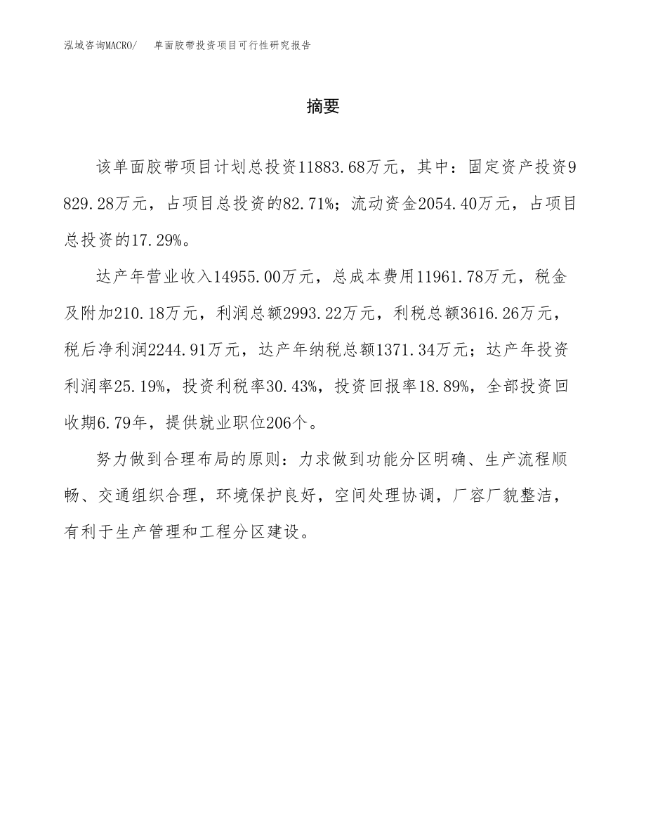 单面胶带投资项目可行性研究报告(参考模板分析).docx_第2页