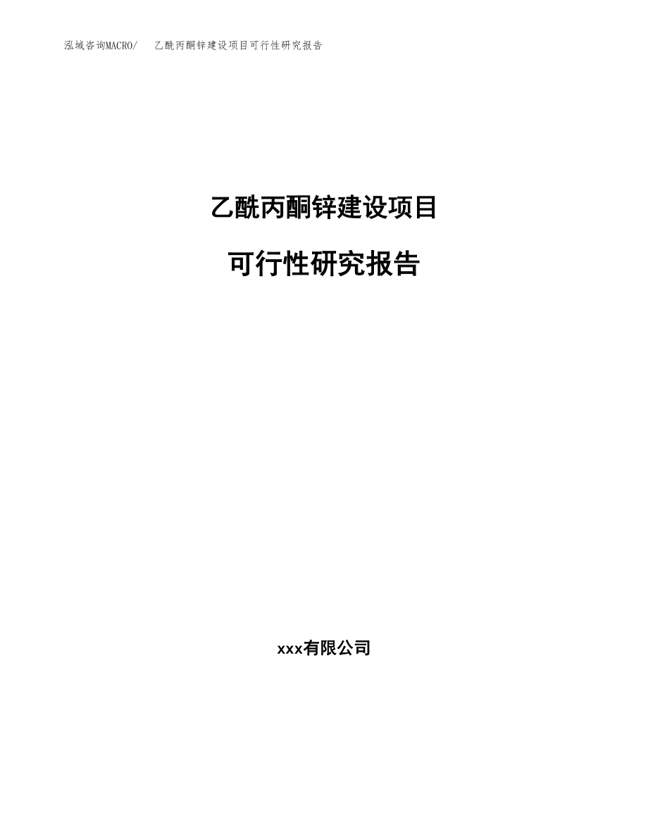 乙酰丙酮锌建设项目可行性研究报告模板               （总投资2000万元）_第1页