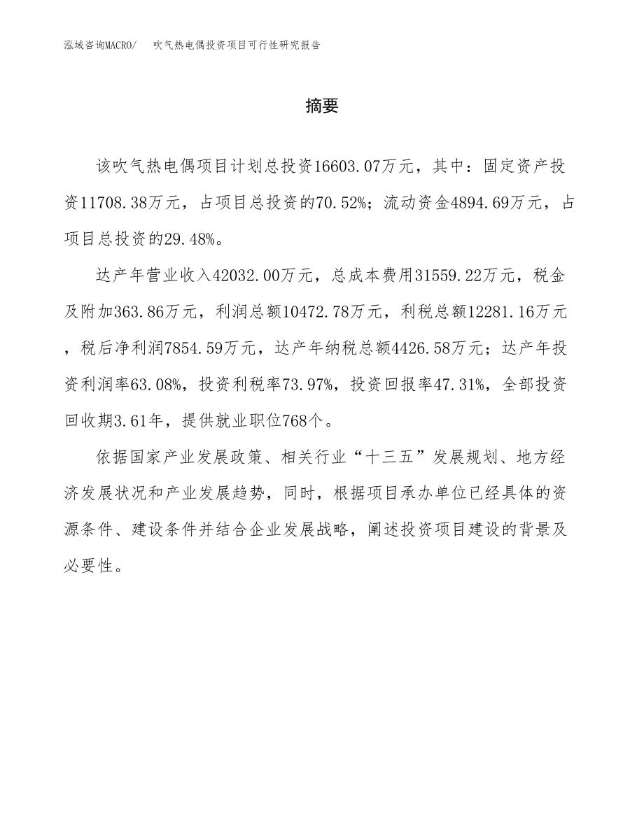 吹气热电偶投资项目可行性研究报告(参考模板分析).docx_第2页