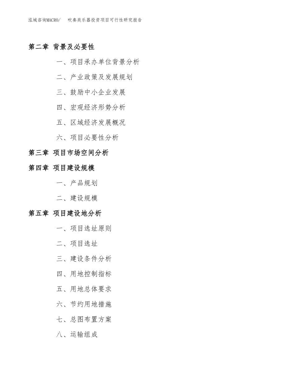 吹奏类乐器投资项目可行性研究报告(参考模板分析).docx_第5页