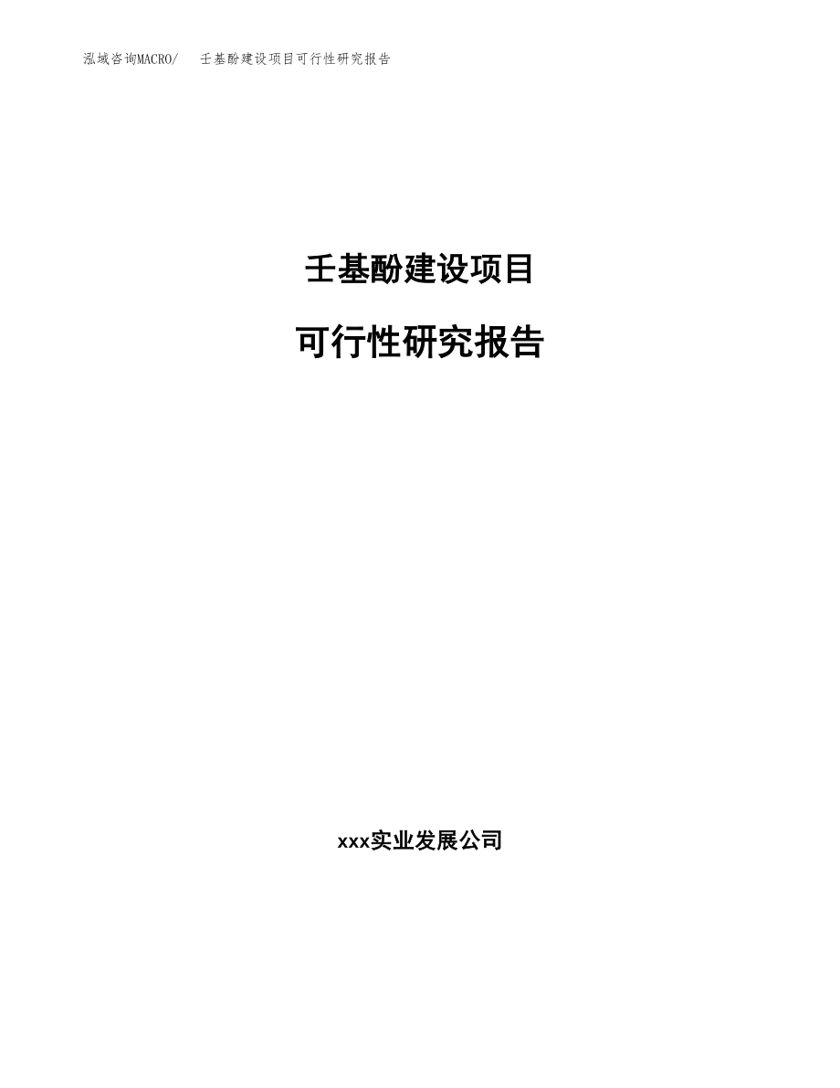 壬基酚建设项目可行性研究报告模板               （总投资8000万元）_第1页