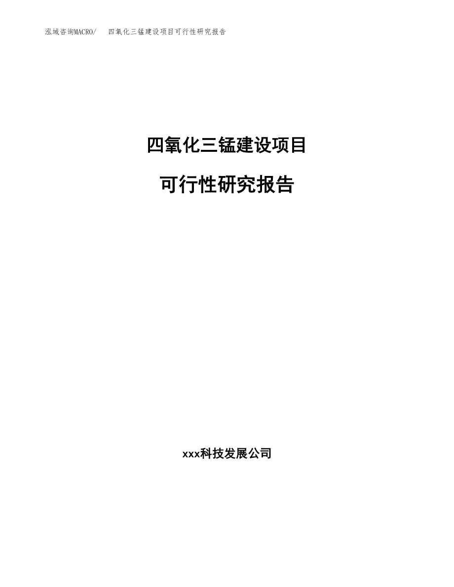 四氧化三锰建设项目可行性研究报告模板               （总投资11000万元）_第1页