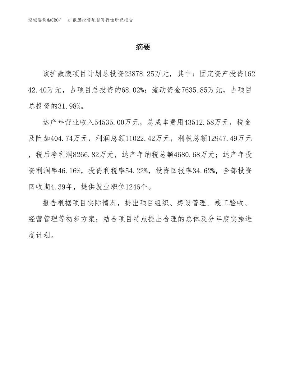 扩散膜投资项目可行性研究报告(参考模板分析).docx_第2页